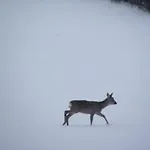 Lanonweye ゲストハウス *