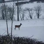 ゲストハウス Lanonweye ウェーム