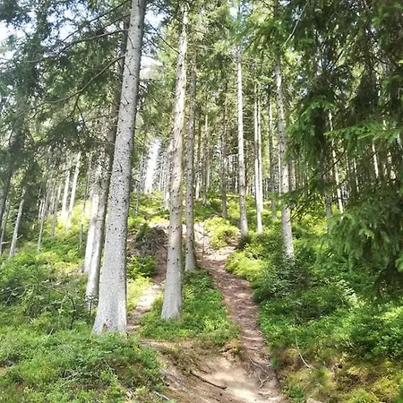 بيت ضيافة Lanonweye *