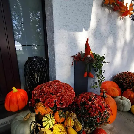 Vendégház Lanonweye Waimes