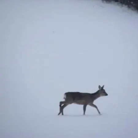 Lanonweye Vendégház *