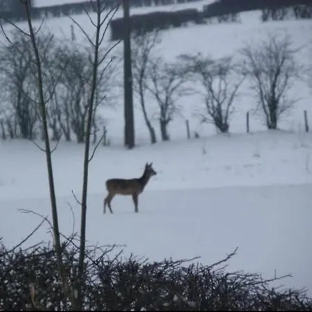 بيت ضيافة Lanonweye وايمس