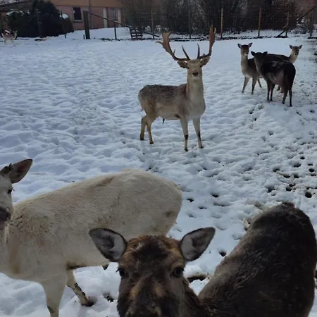 Vendégház Lanonweye *
