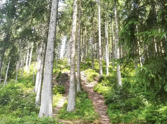 בית הארחה Lanonweye *